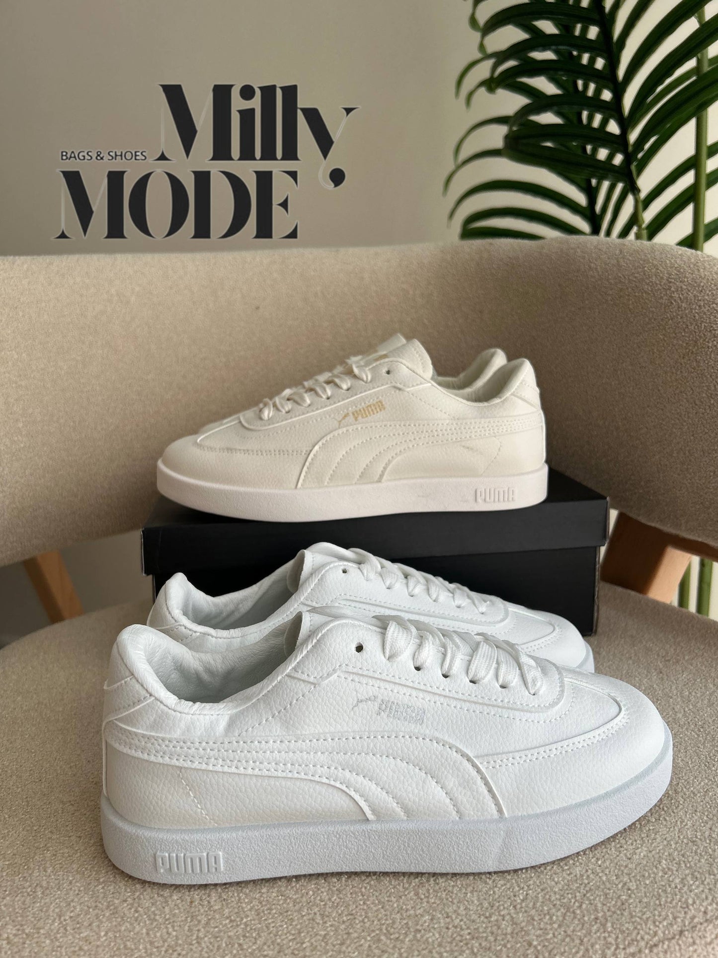 Basket Puma Bs04