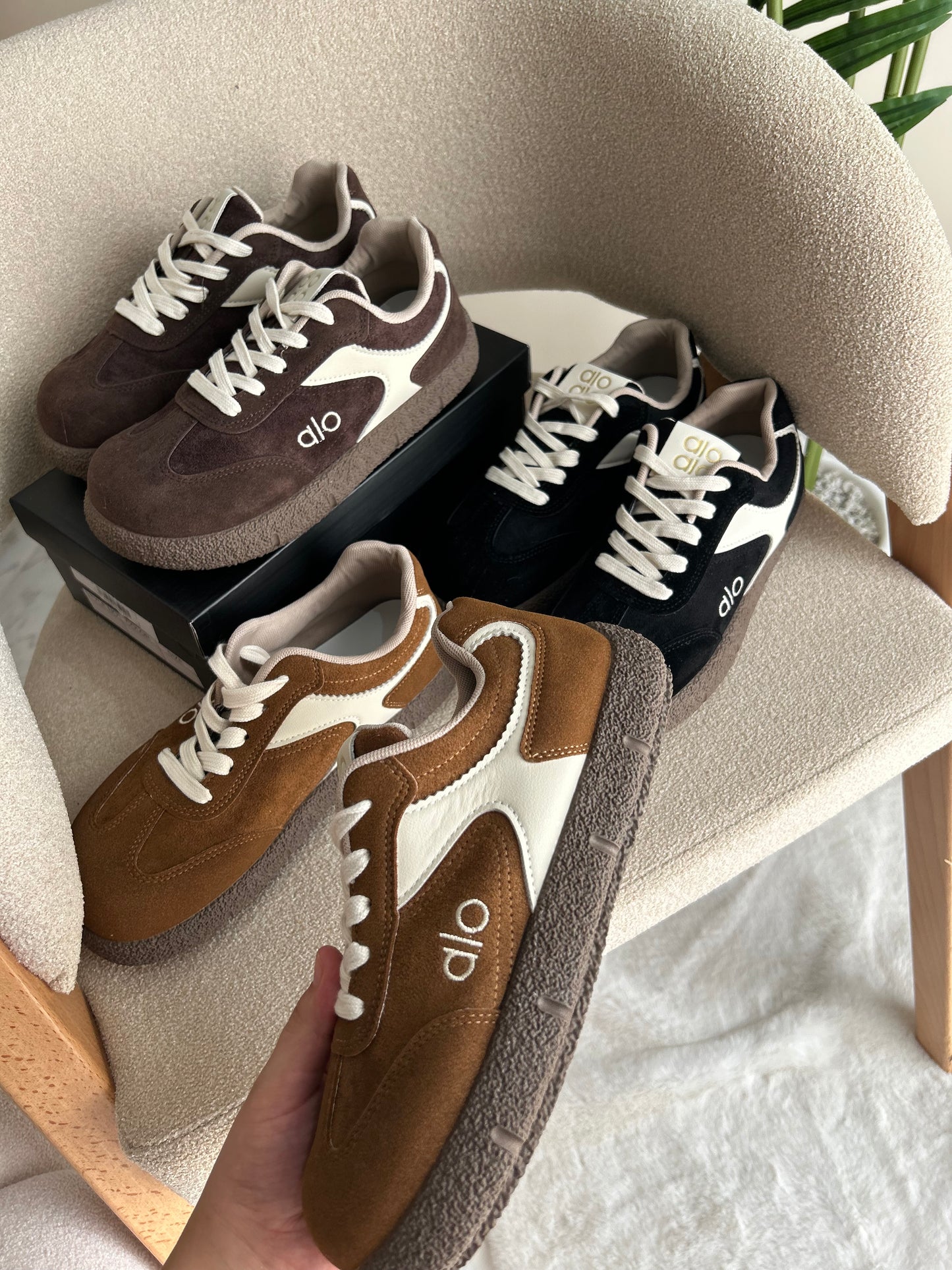Basket Alo Bs01
