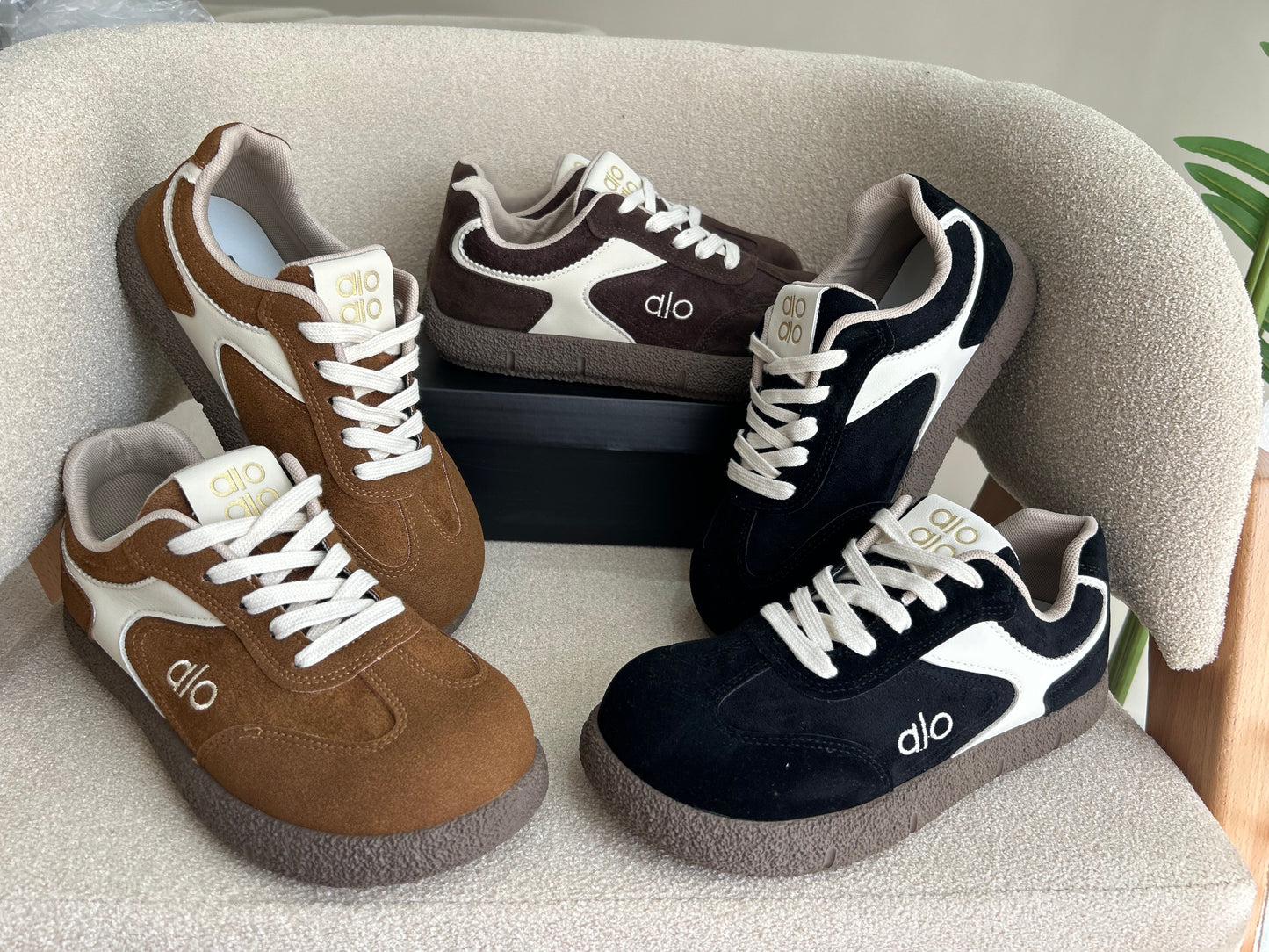 Basket Alo Bs01